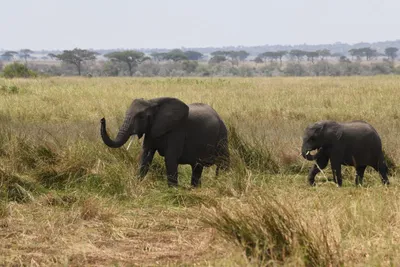 DSC_3616 (Large).JPG